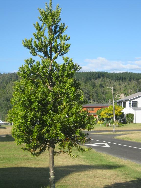 Addsbury House Apartment Whangamata Exterior foto